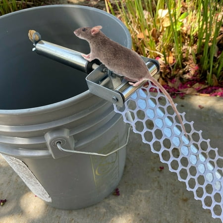 Mouse Killer Roll Trap, Rat Trap Bucket Spinner with 19.69in Mesh Ramp