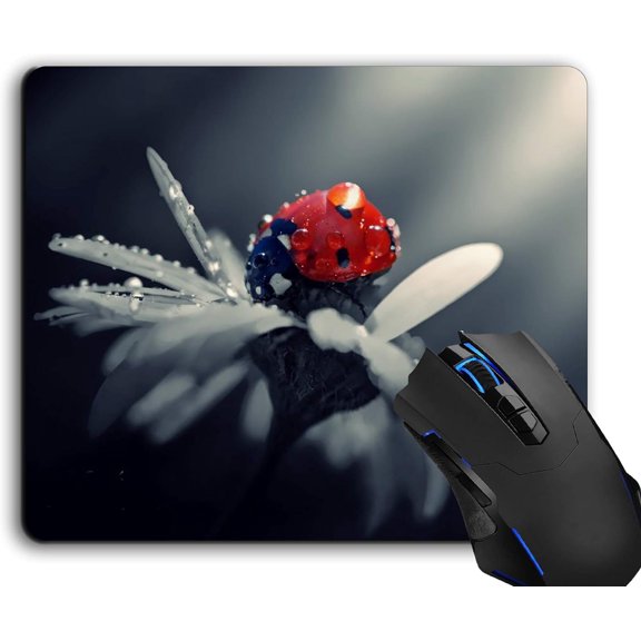 Mouse Pad,Beautiful Nature Computer Mouse Pads Desk Accessories Non-Slip Rubber Base,Mousepad for Laptop Mouse