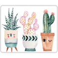 thumbnail image 1 of Mouse Pad Cactus Succulent Cute Design Anti-Slip Gaming Mouse Pad for Laptops Office Computer Mouse Pads 7.9" x 9.5", 1 of 6