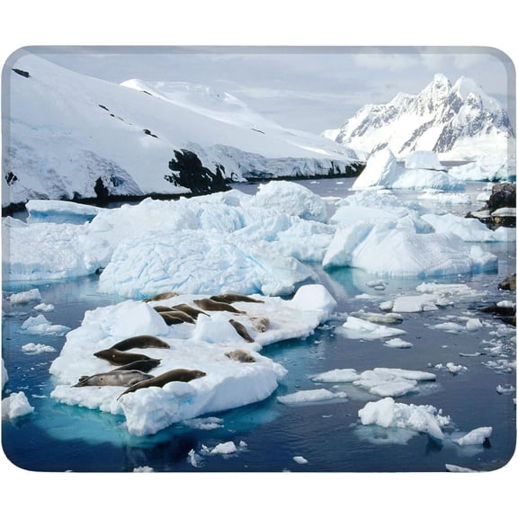 Mouse Pad Non-Slip Rubber Base Computer Mousepad, Antarctic Sleep Seal Customized Square Mouse Pads for Laptop Office Home & Gaming, Superb Tracking Accuracy and Smooth Surface