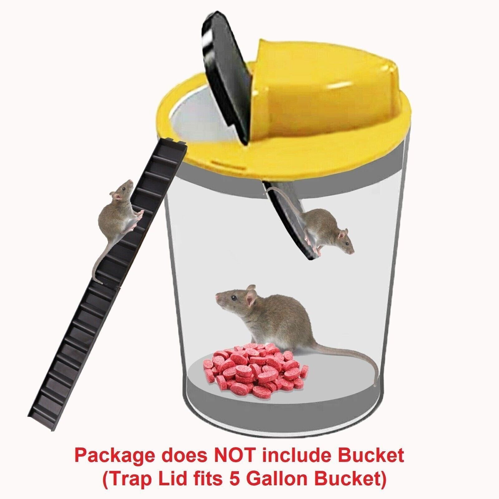 Bucket Mouse Trap, Rat Trap And Mouse Catcher Flip Slide Bucket Lid,  Reusable Mouse Traps, Smart Mouse Trap, Mouse Bucket Lid With Slide Ladder( bucket