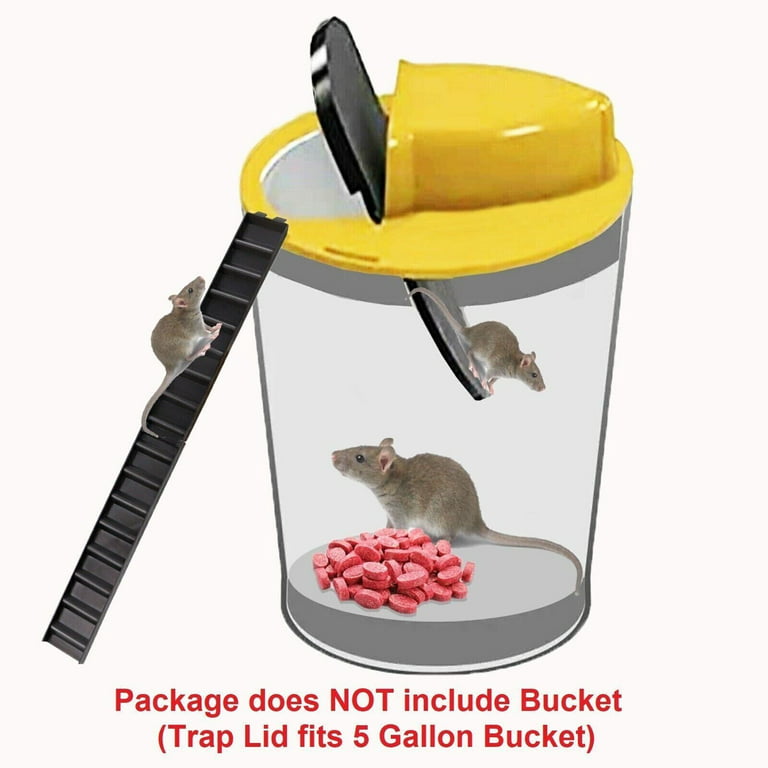 Best Mouse Trap Bucket All-Time, Rat Trap Homemade