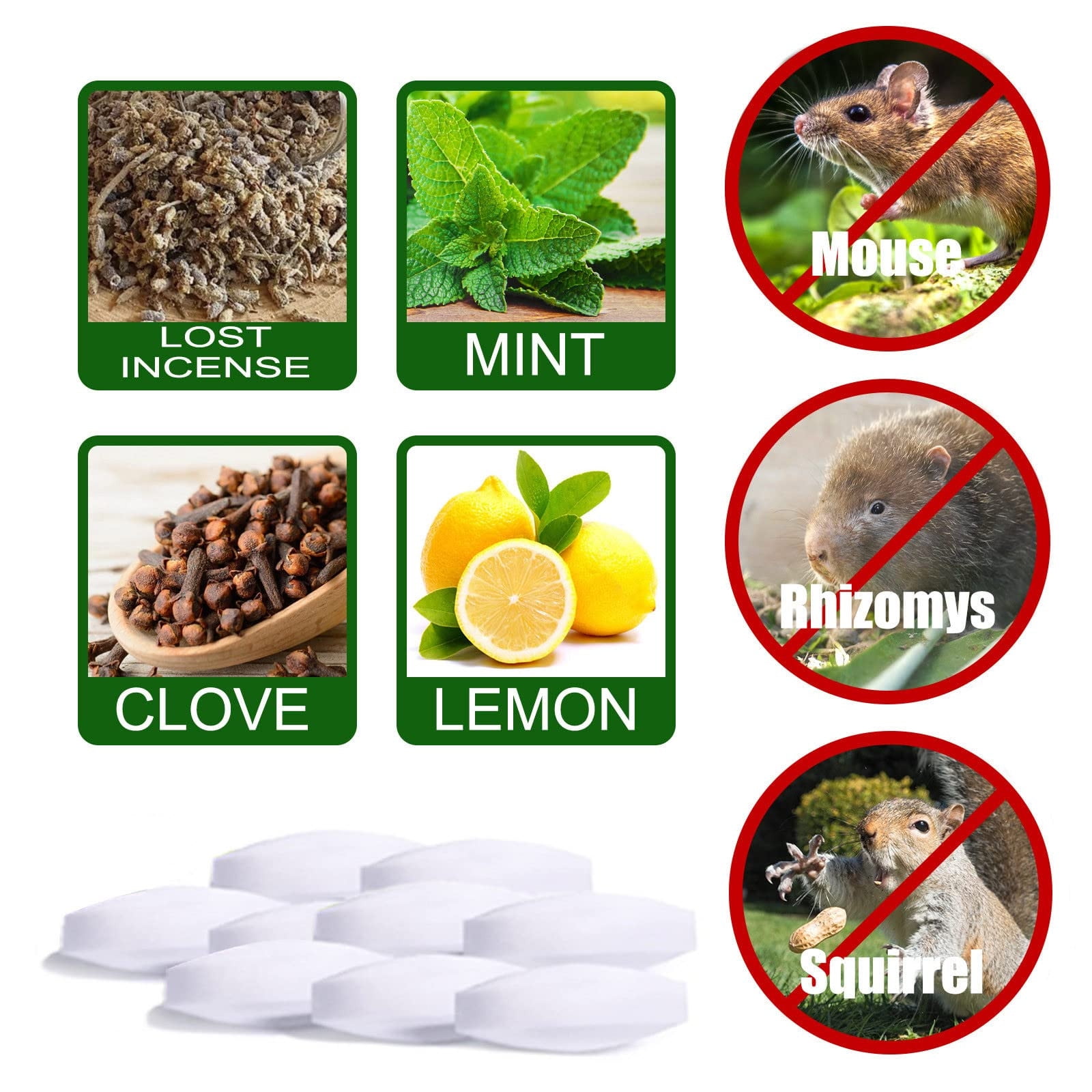 Mouse Repellent Peppermint Oil to Repel Mice and Rats Mice Repellent for House Natural Mouse
