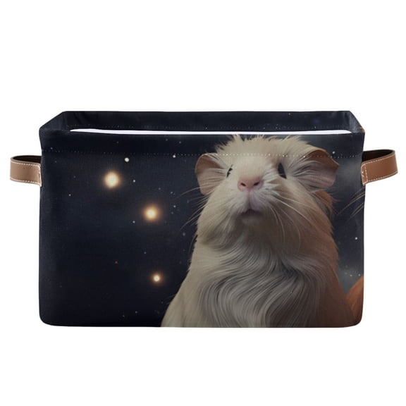 Mouse Starry Sky Storage Bins Baskets With Handles Storage Box Clothes Organizer Organization Toys