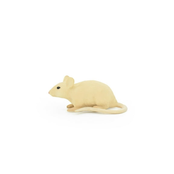 Mouse Toy, Shrew, Rodent, White, Very Realistic Rubber Figure, Model, Educational, Animal, Hand Painted Figurines, 2.5" CH084 BB83