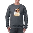 thumbnail image 1 of Moustache Grumpy Cat Sweatshirt Men -T-Line Designs, Male 3X-Large, 1 of 4