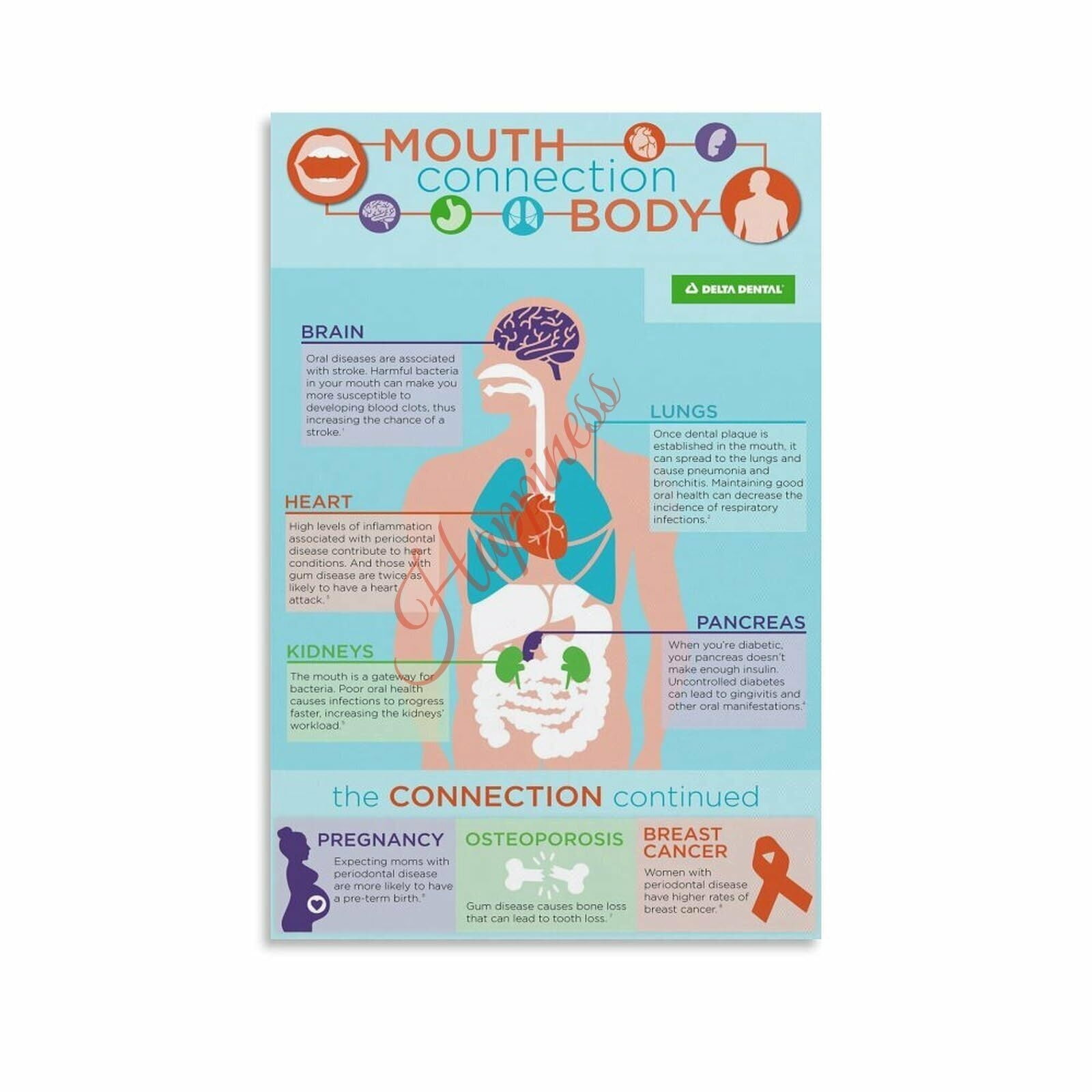 Mouth Connection Body Poster Oral Health And Systemic Health Dental ...