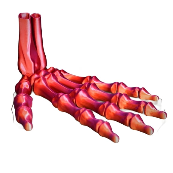 Movable 3D Printed Halloween Skeleton Hand Articulated Decoration Human Skeleton Palm Model For Home Party Display