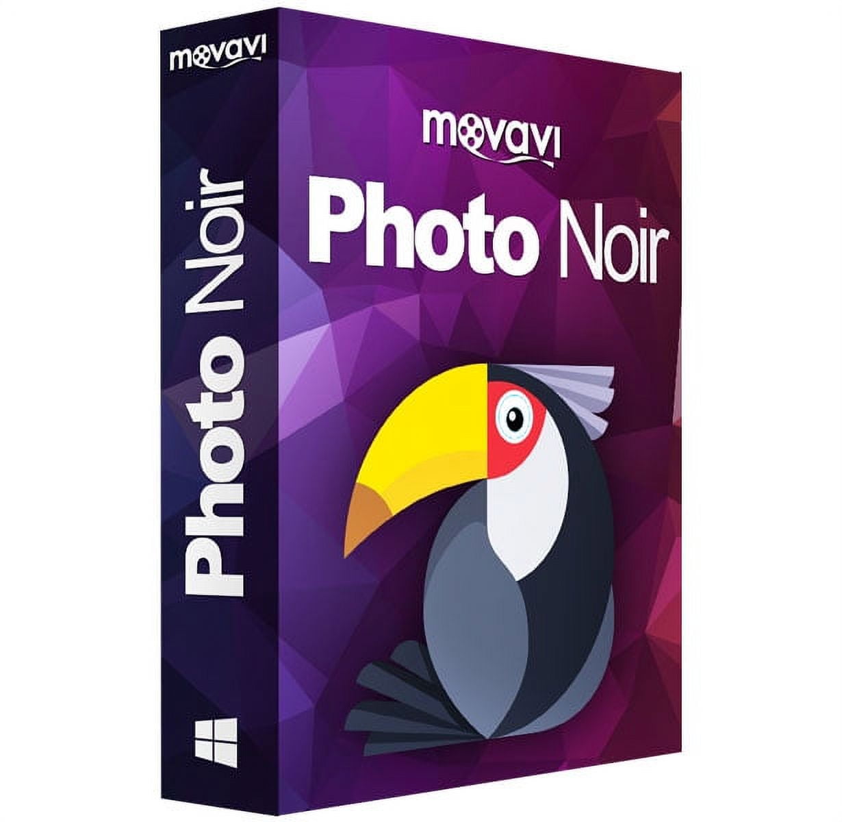 Movavi Photo Noir Personal Edition (Email Delivery) 1 user for PC