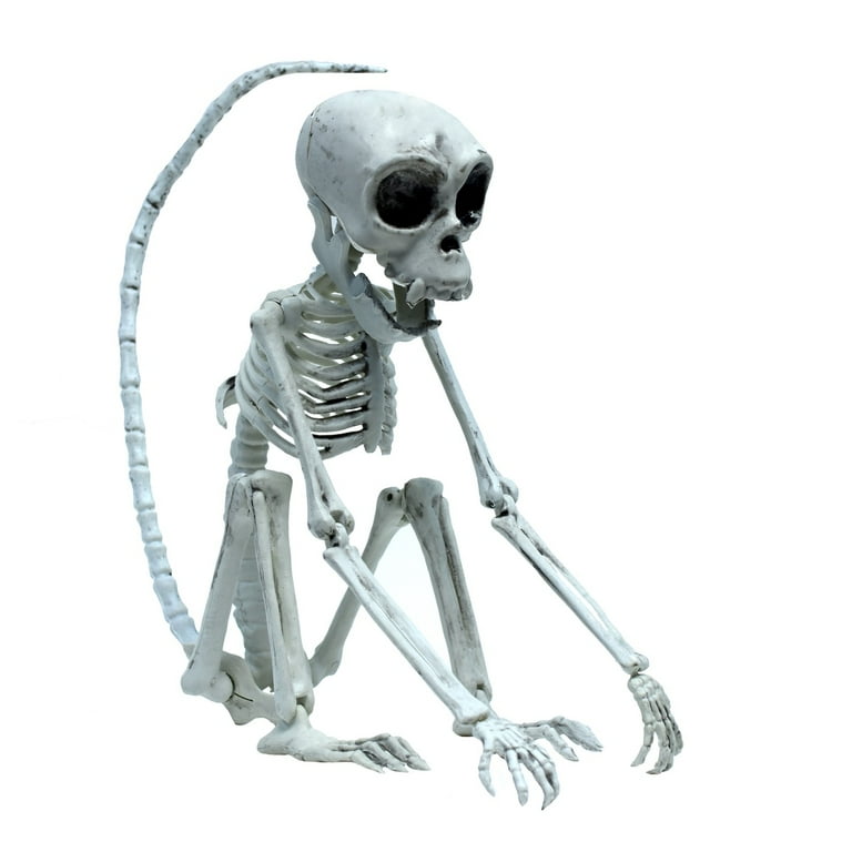 Monkey Skeleton Scary Halloween Party Decor Indoor Outdoor Haunted House Prop Monkey Skeleton Scary Halloween Party Decor Indoor Outdoor Haunted House Prop