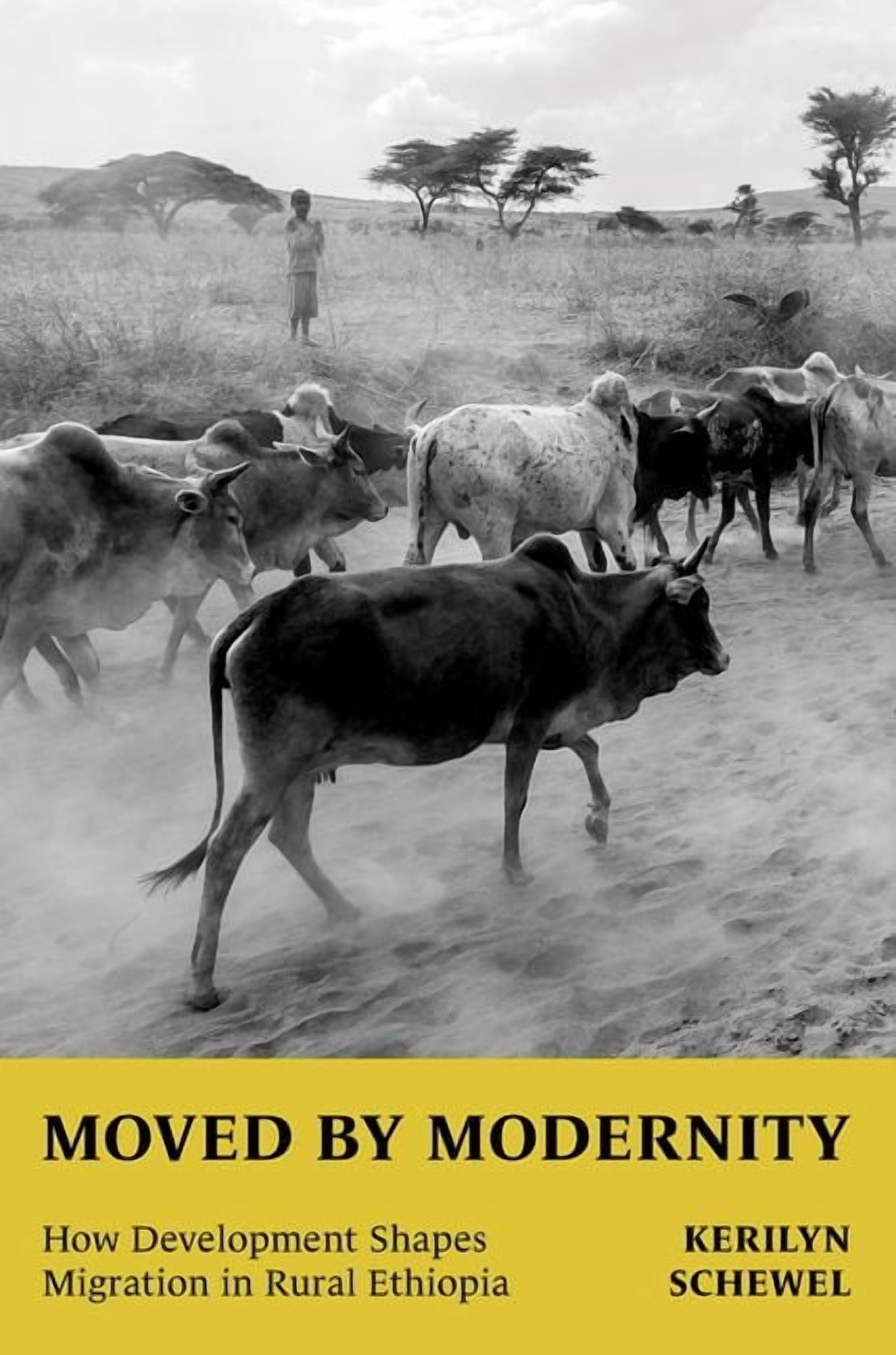 Moved by Modernity: How Development Shapes Migration in Rural Ethiopia ...
