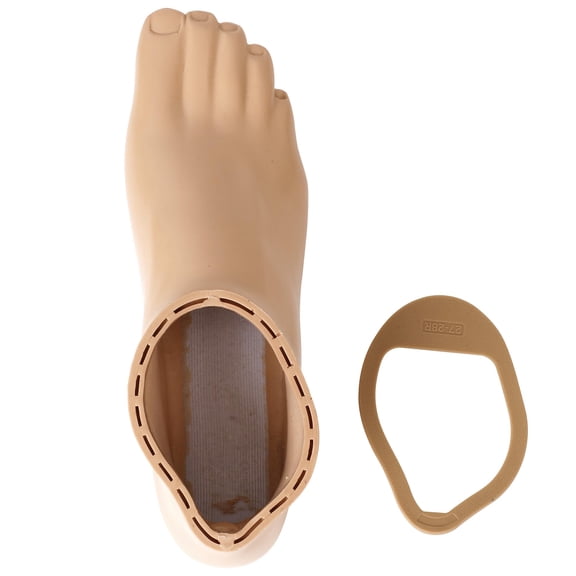 Moventix Prosthetic Foot Shell with Cap – Compatible with OSSUR Prosthetic Foot – Sizes 22–30 cm, Left/Right
