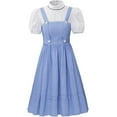 thumbnail image 1 of Movie Dorothy Dress Women's Dorothy Blue Plaid Dress Suit Fairytale Dress Adult Outfit, 1 of 6
