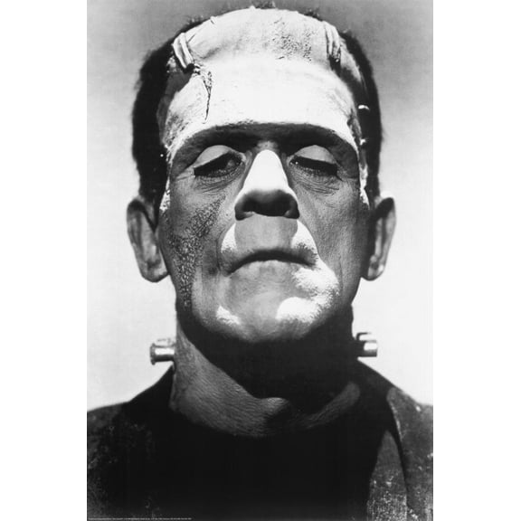 MovieStore Frankenstein Boris Karloff B&W Poster Print