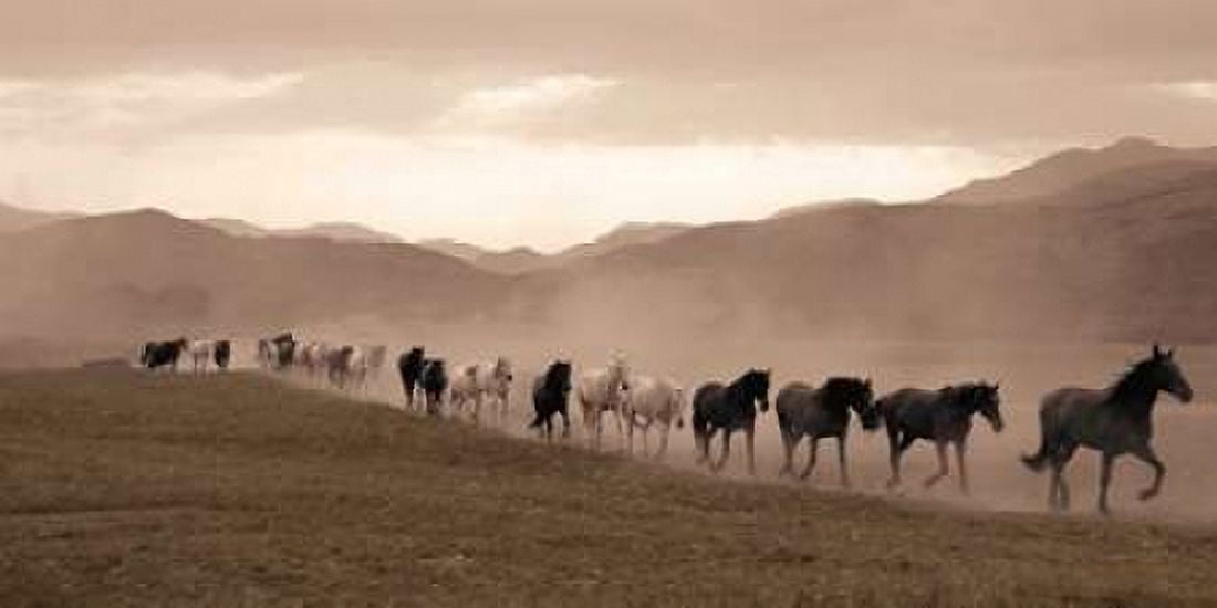 Moving Forward Canvas Art - Jorge Llovet (10 x 20)