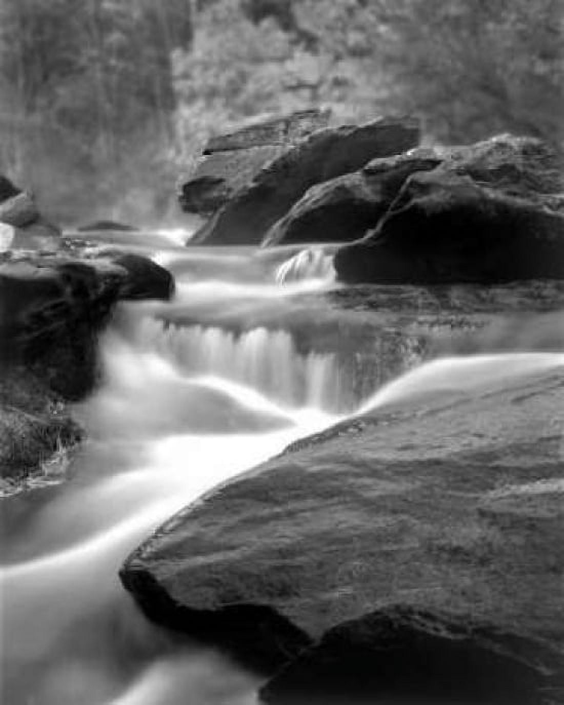 Moving Water IV Canvas Art - Scott Larson (20 x 24)