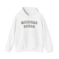 thumbnail image 1 of Moving to Michigan Hoodie, Gifts, Hooded Sweatshirt, 1 of 4