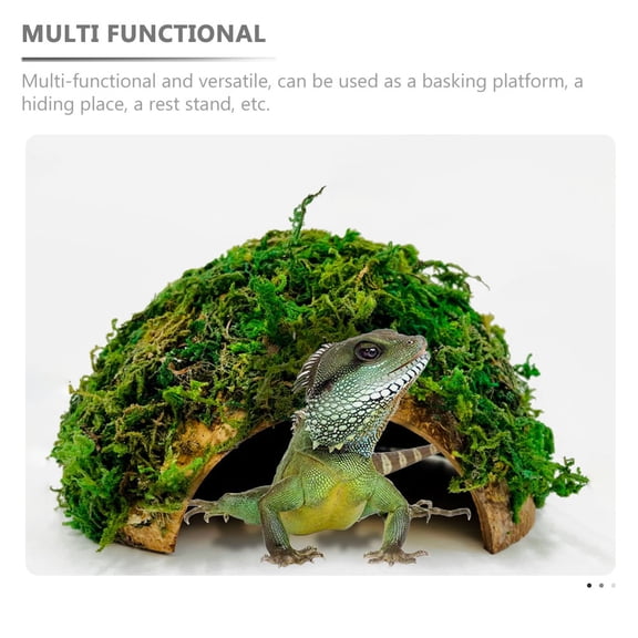 Amosfun Coconut Shell Reptile Hide and Cave Green Multi-Functional for Pet Use