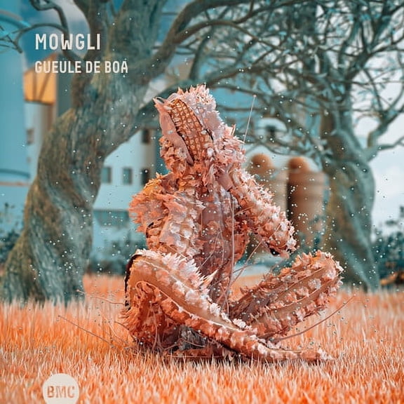Mowgli - Gueule De Boa - Music & Performance - CD