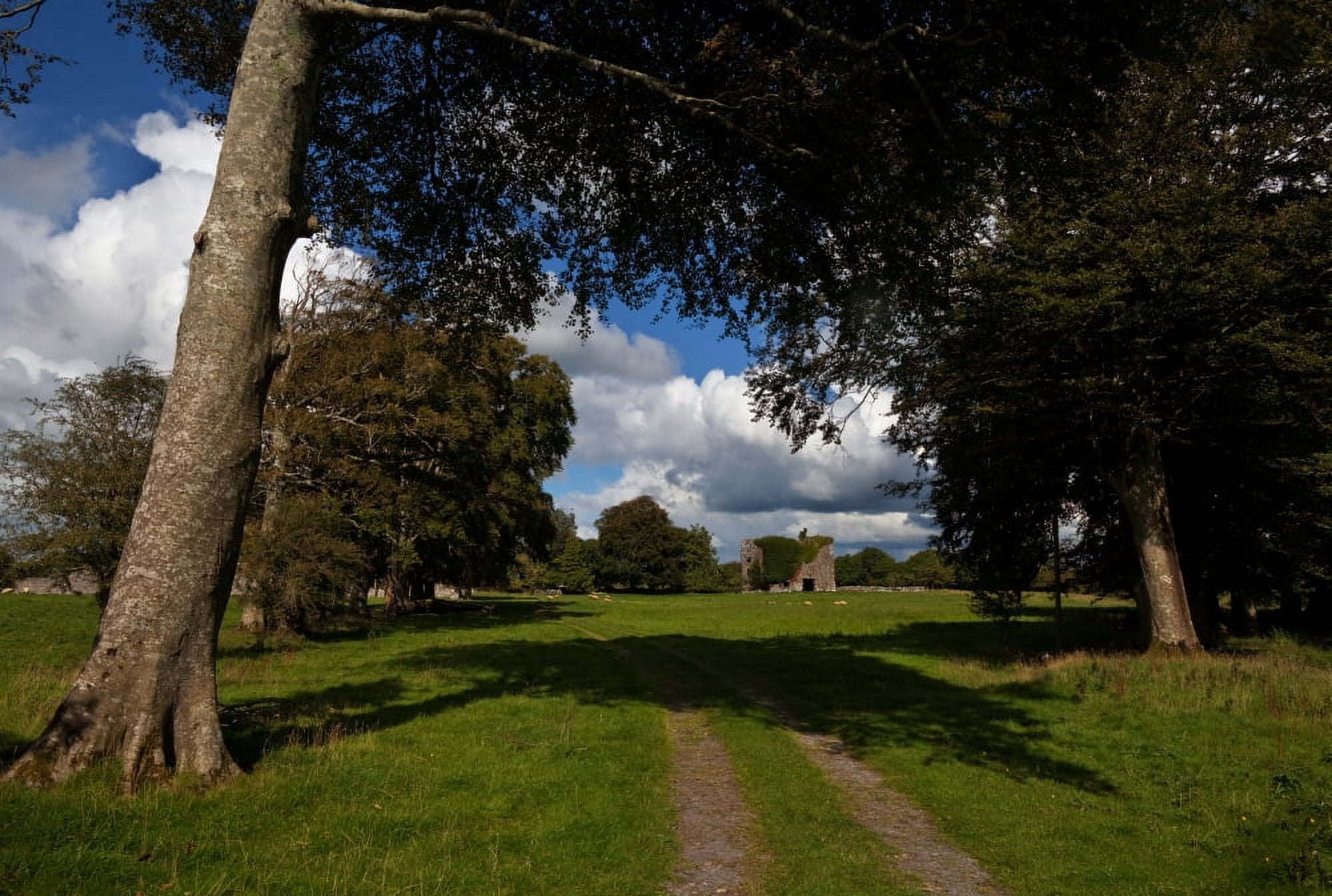 Moyne Castle (near Headford) probably built by one of the MacWilliam Burkes in the late 15th Century County Mayo Ireland Canvas Art - Panoramic Images (27 x 9)