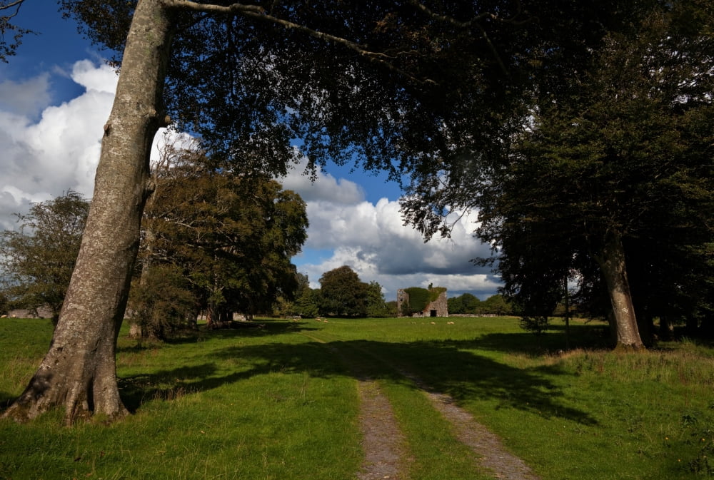 Moyne Castle (near Headford) probably built by one of the MacWilliam Burkes in the late 15th Century County Mayo Ireland Canvas Art - Panoramic Images (36 x 12)