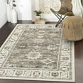 thumbnail image 1 of Moynesa 3'x5' Vintage Rug,Oriental Farmhouse Entryway Rug Non-Slip Distressed Throw Rug,Low-Pile Soft Kitchen Rug Washable Indoor Carpet for Entrance Bedroom Laundry Office,Brown, 1 of 8