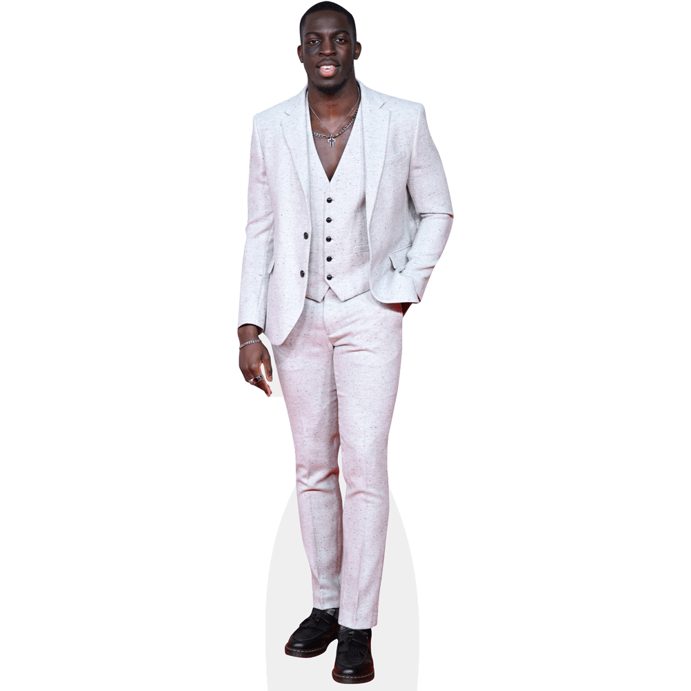 V (Pink Suit) Life Size Cutout Standee - Celebrity Cutouts