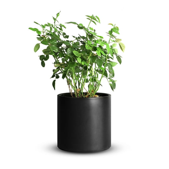 Mozing Ceramic Plant Pots Indoor - 8 x 8 inch Modern Flower Pot with Drainage Hole (Black)