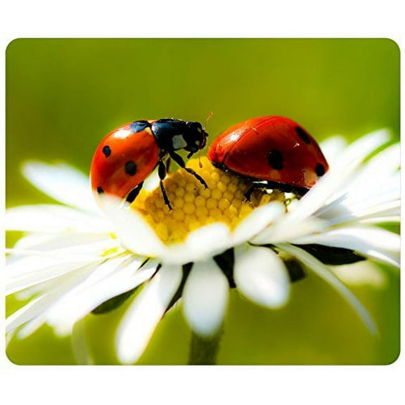 Mr And Mrs Ladybug Mouse pads Gaming Mouse Pad 9.84x7.87 inches