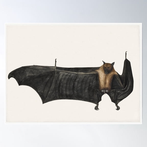 Mr Bat Poster Wall Art, Modern Wall Decor For Living Room Bedroom, 8x12 UNFRAMED