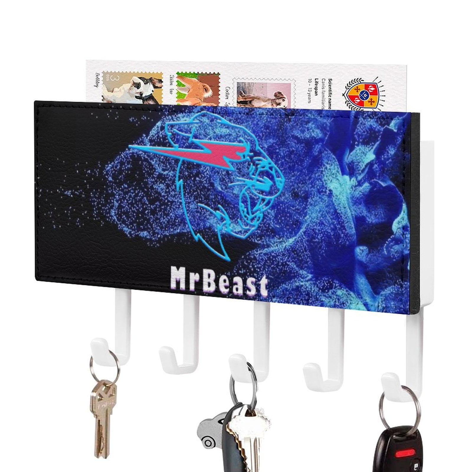 Mr-Be-ast Key Holder for Wall: Easy Installation Mail Organizer Wall ...