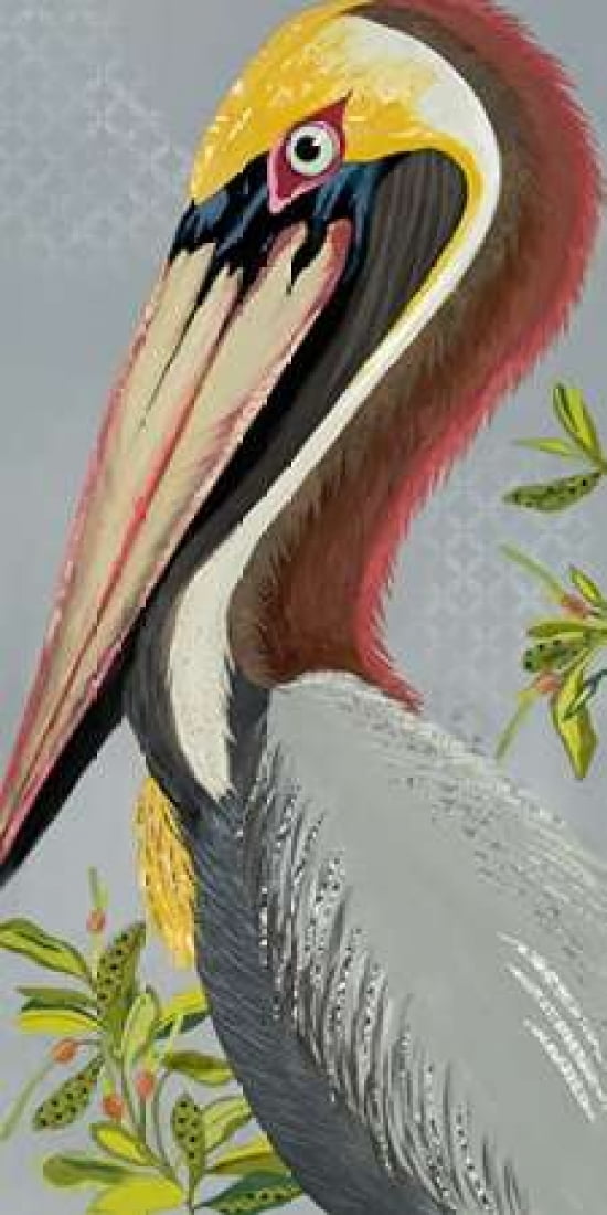 Mr Bill Pelican Canvas Art - Jennifer Peck (24 x 48)