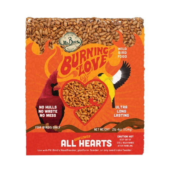 Mr. Bird Burning Love Large Cake