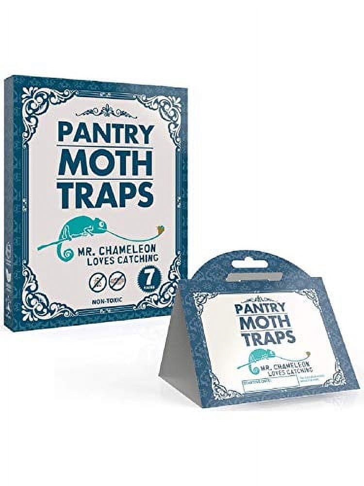  Mr.Chameleon Pantry Moth Trap 50% Stickier Glue for Ultimate  Effectiveness, 7 Pack Moth Traps, Non-Toxic Pantry Moth Traps with Pheromones  Prime in Your Kitchen