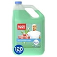thumbnail image 1 of Mr. Clean Liquid All Purpose Cleaner, Meadows and Rain, 128 fl oz, 1 of 6