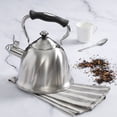 thumbnail image 1 of Mr. Coffee Alderton 2.3-Quart Stainless Tea Kettle with Lid in Silver, 1 of 3