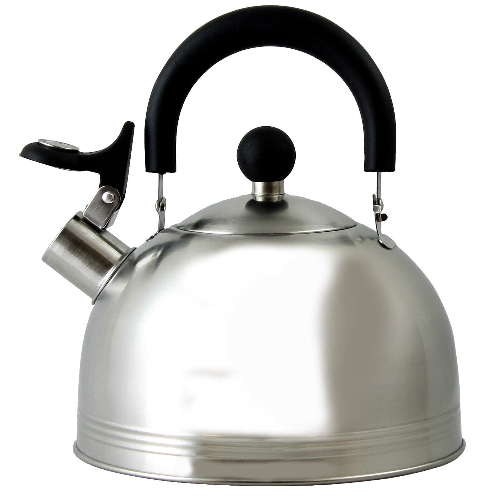 Creative Home Alexa 12-Cup Stovetop Tea Kettle in Silver 72217 - The Home  Depot