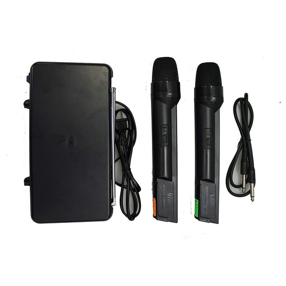 Mr. Dj MIC-6000 Wireless Microphone System with Carrying Case