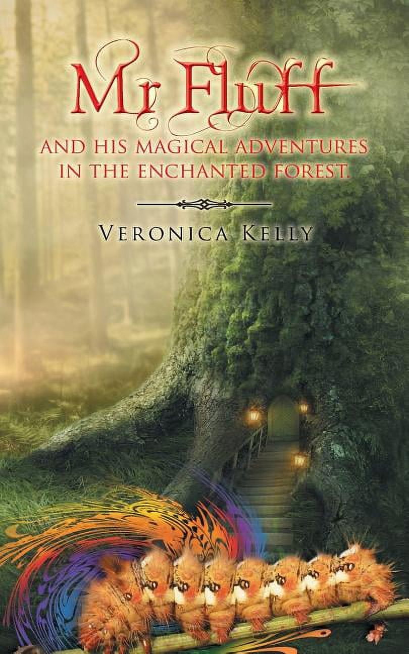 Mr Fluff and His Magical Adventures in the Enchanted Forest - Walmart.com