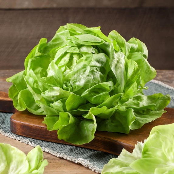Mr Fothergill's Lettuce Butterhead Oh Sow Simple Vegetable Seed Easy to Grow