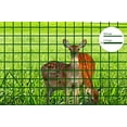 thumbnail image 1 of Mr.Garden 2ft-Hx49ft-L Mesh 2.4 inch Openings PVC Coated Fence Wire Poultry Netting Gutter Guards Chicken Run Rabbit Fencing to Keep Out Racoons Gophor, 1 of 4