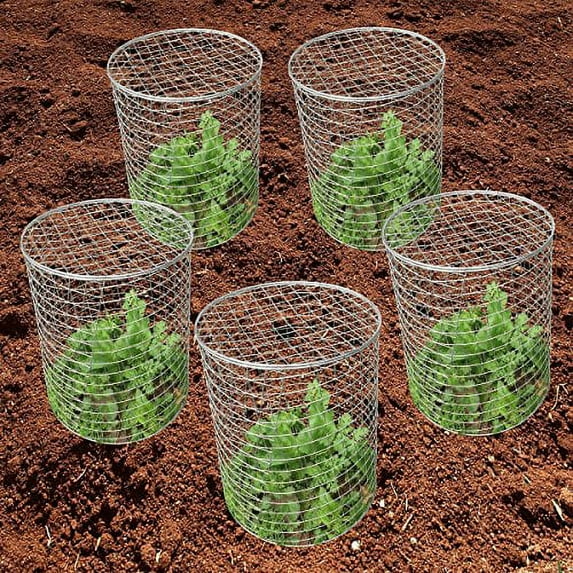 Mr. Garden Pest-Pet-Off Steel Wire Barrier Mesh Basket, Chicken Wire Cloche Stainless steel plant cover, 11.8"Dx12.2"H, 9pack