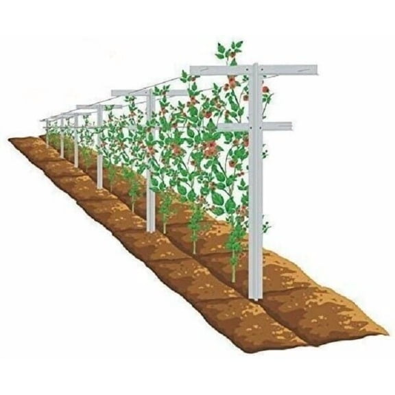 Mr.Garden Raspberry Trellis with Adjustable Arms,Plant Stake,Vineyard Trellis