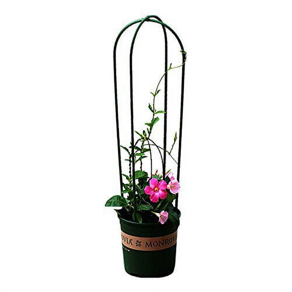 Mr. Garden U Style Garden Climbing Trellis Green Color Flower Trellis