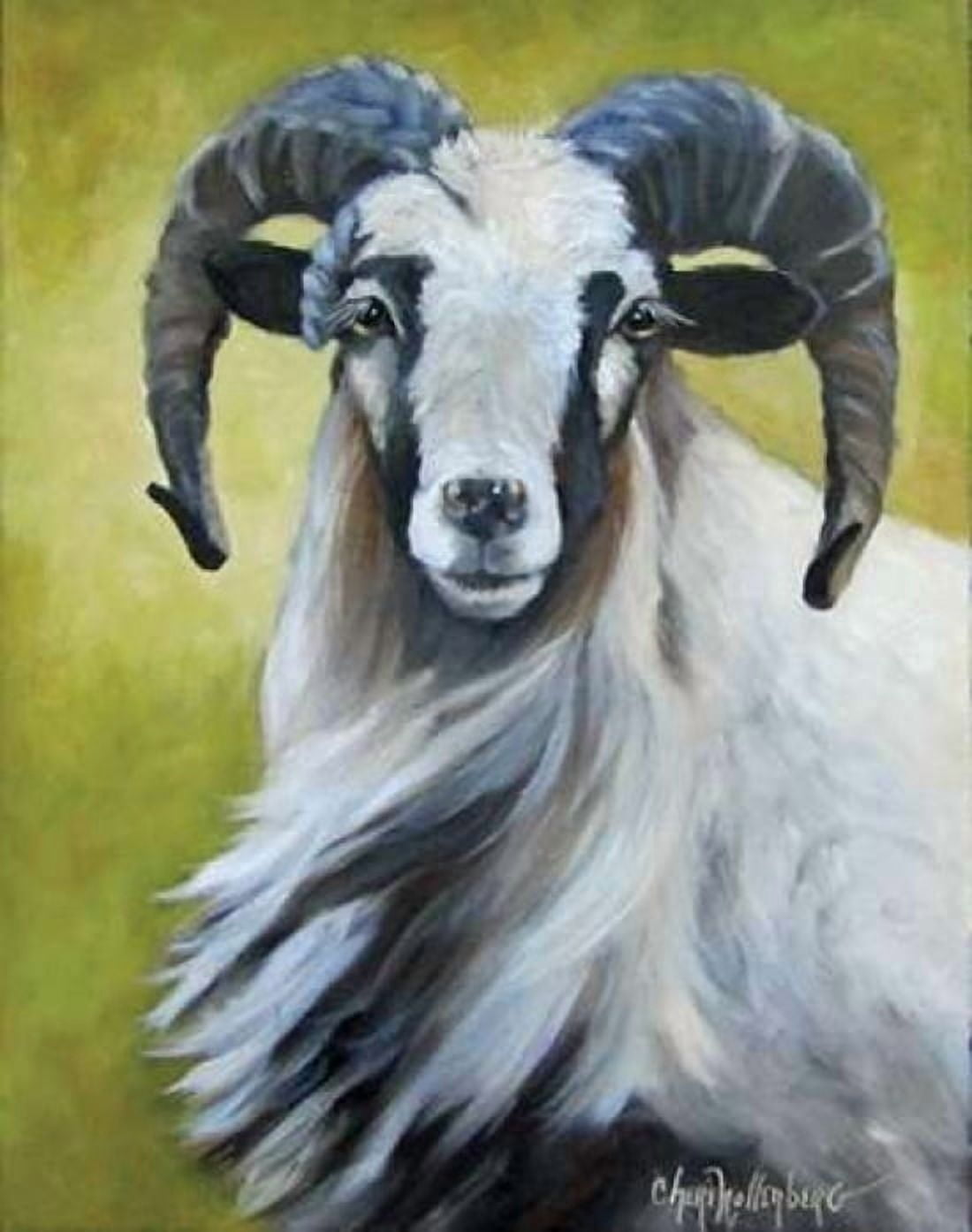 Mr Handsome Canvas Art - Cheri Wollenberg (24 x 30)