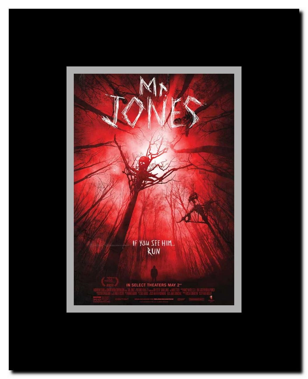 Mr Jones Framed Movie Poster