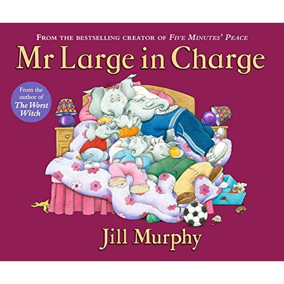 Pre-Owned Mr Large In Charge (Paperback) 1406370754 9781406370751