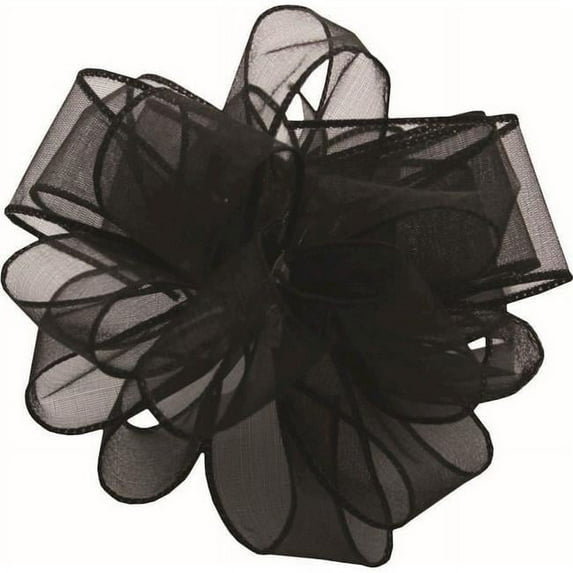 Mr. MJs Trading AI-190926 Black Spring Sheer Wired Ribbon
