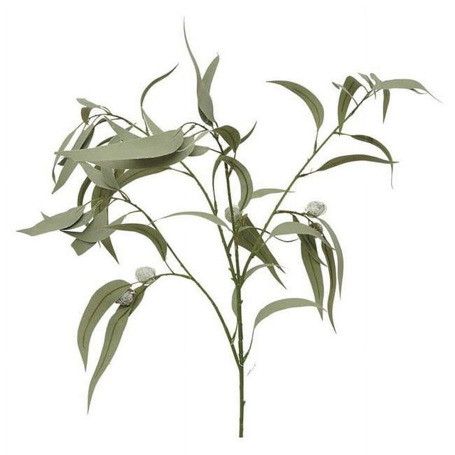 Mr. MJs Trading AI-FL2547FGR Eucalyptus Sword Branch Faux Plants & Trees
