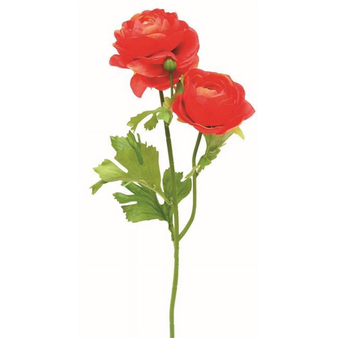 Mr. MJs Trading AIFL3950RED Red Ranunculus Garden Stem Artificial Flower